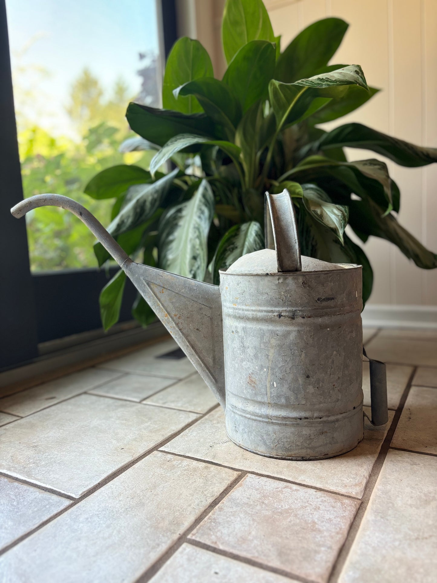 Vintage Watering Can Flower Luminary
