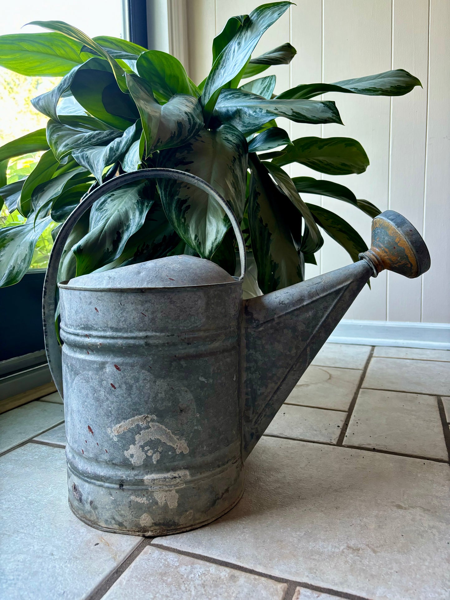 Vintage Dragonfly Flowers Watering Can Luminary