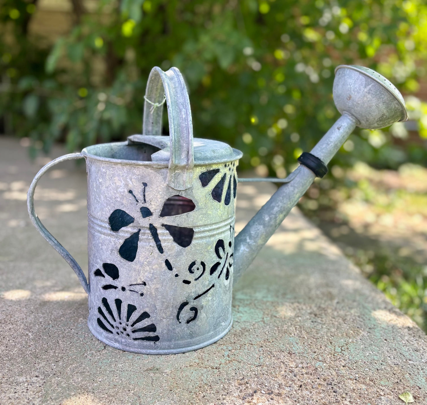 Antique Watering Can - Dragonfly and Butterfly Design