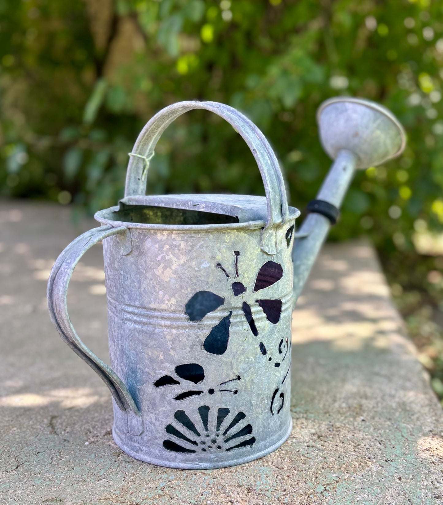 Antique Watering Can - Dragonfly and Butterfly Design