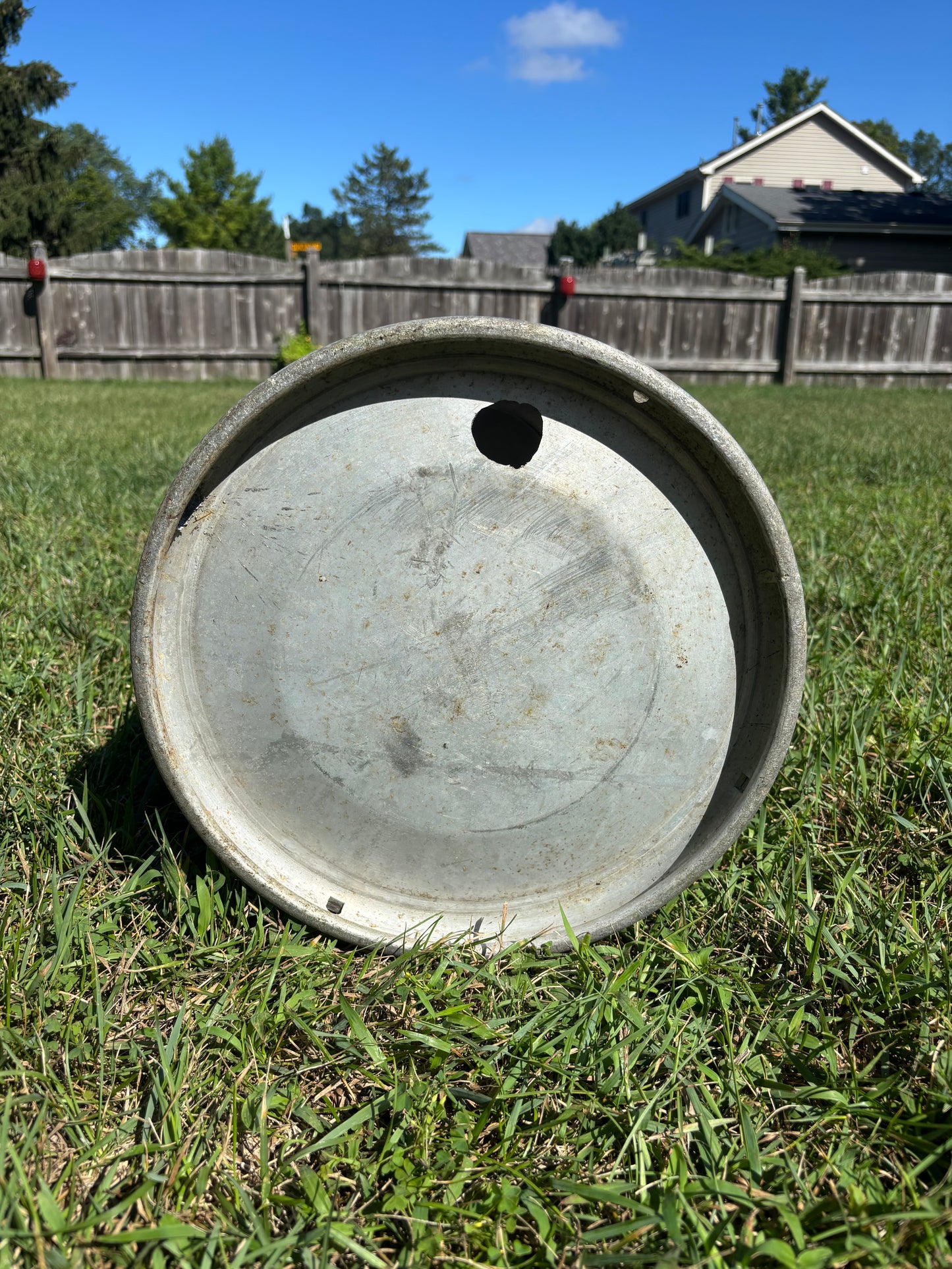 XXL Vintage Milk Can - Flower, Butterfly, and Bee Design