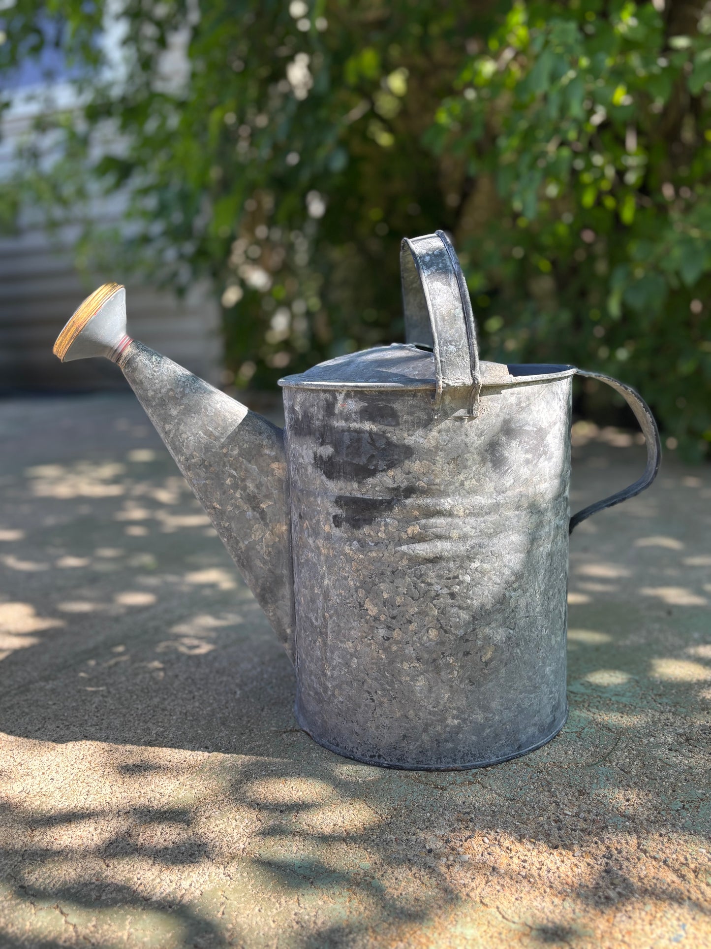 Antique Watering Can - Three Flowers and Butterfly Design