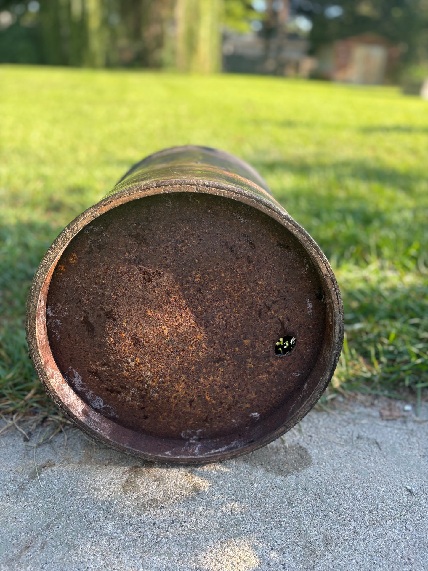 1937 Vintage Milk Can  - Dragonfly  Design