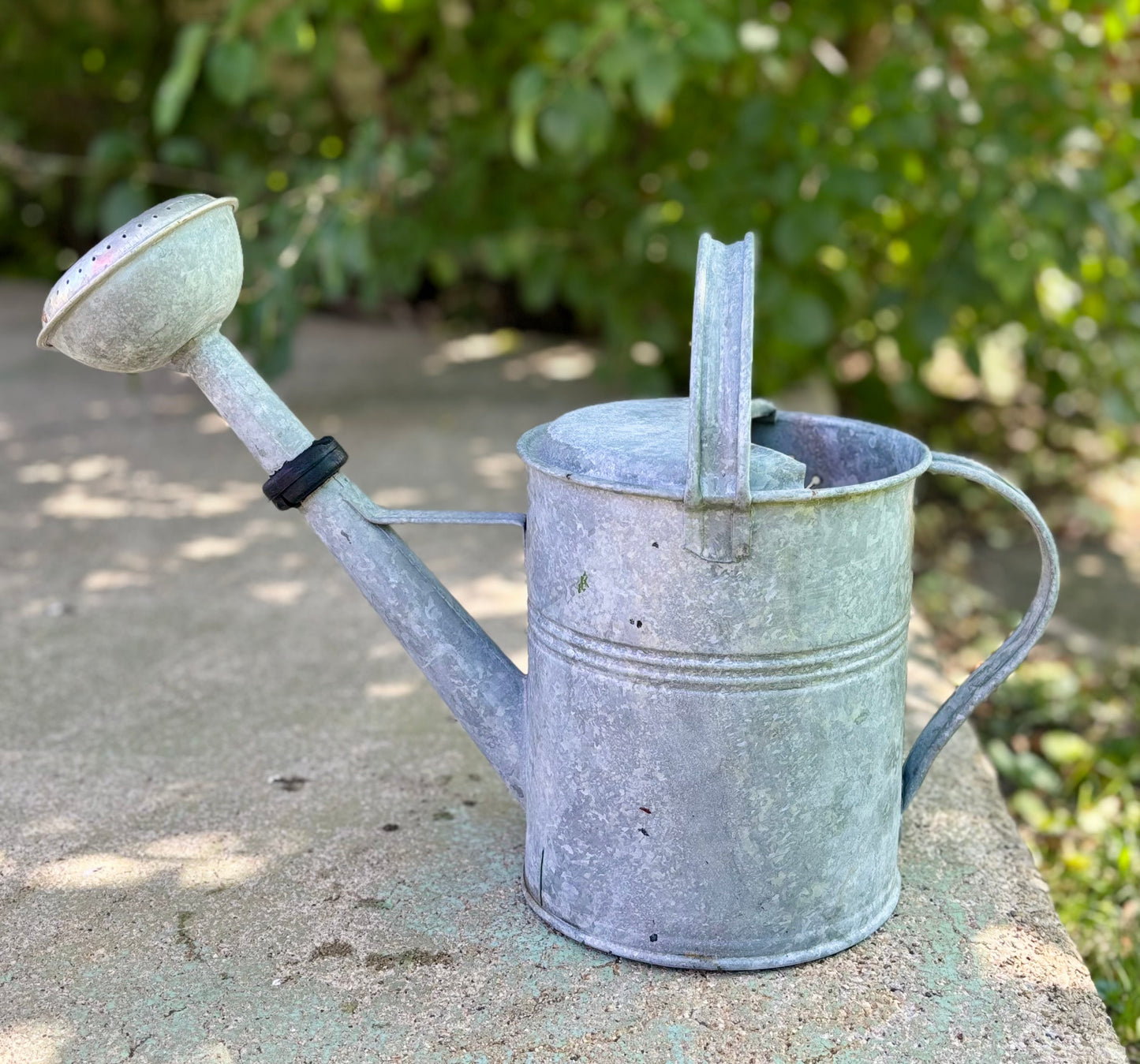 Antique Watering Can - Dragonfly and Butterfly Design