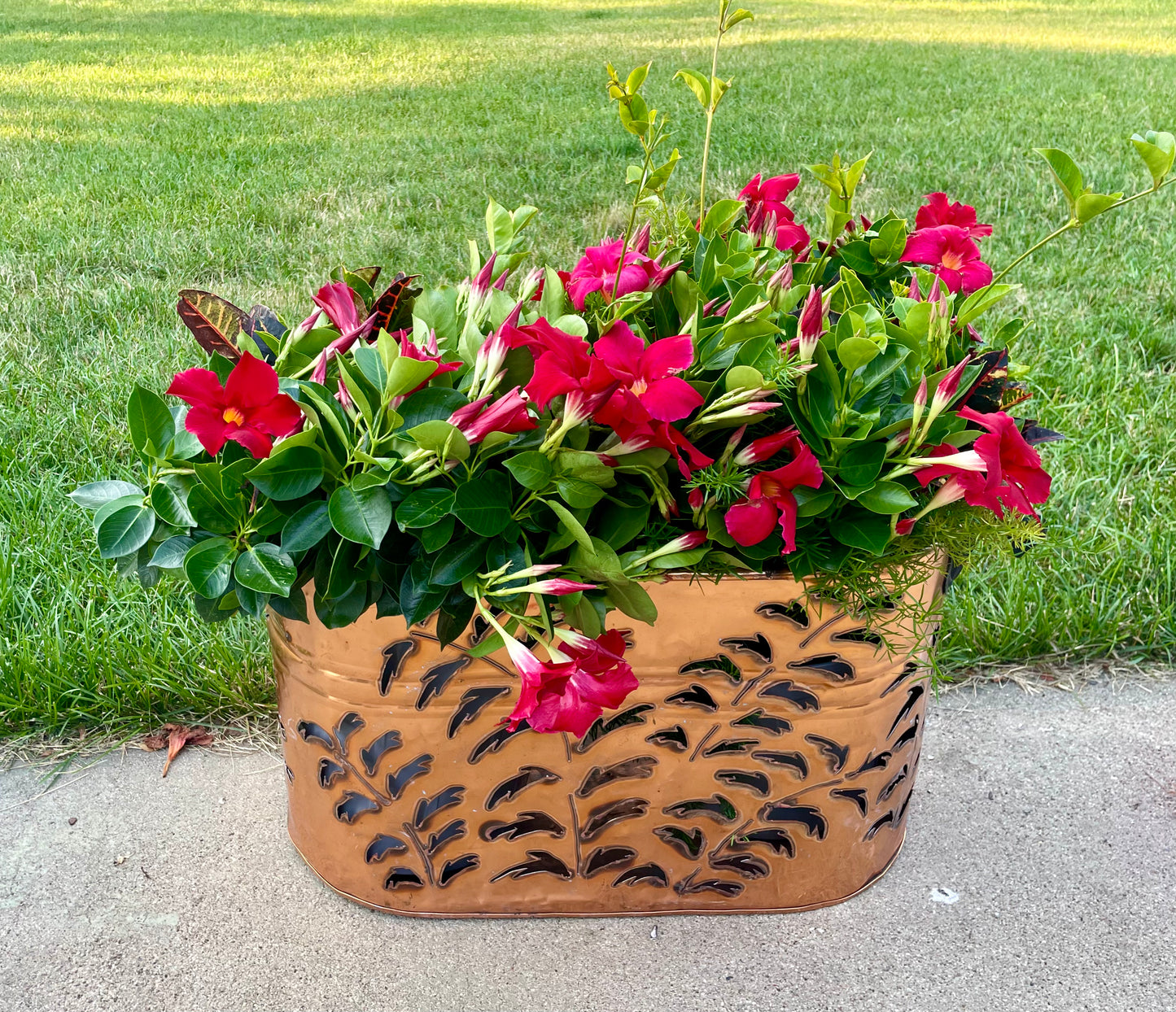 Vintage Copper Boiler Luminary - Hand cut willow branches