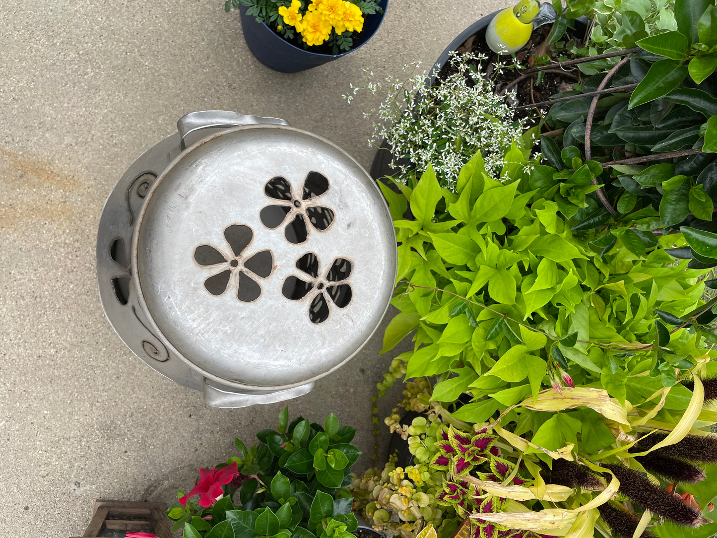 Vintage Milk Can Flower Luminary - Hand Cut