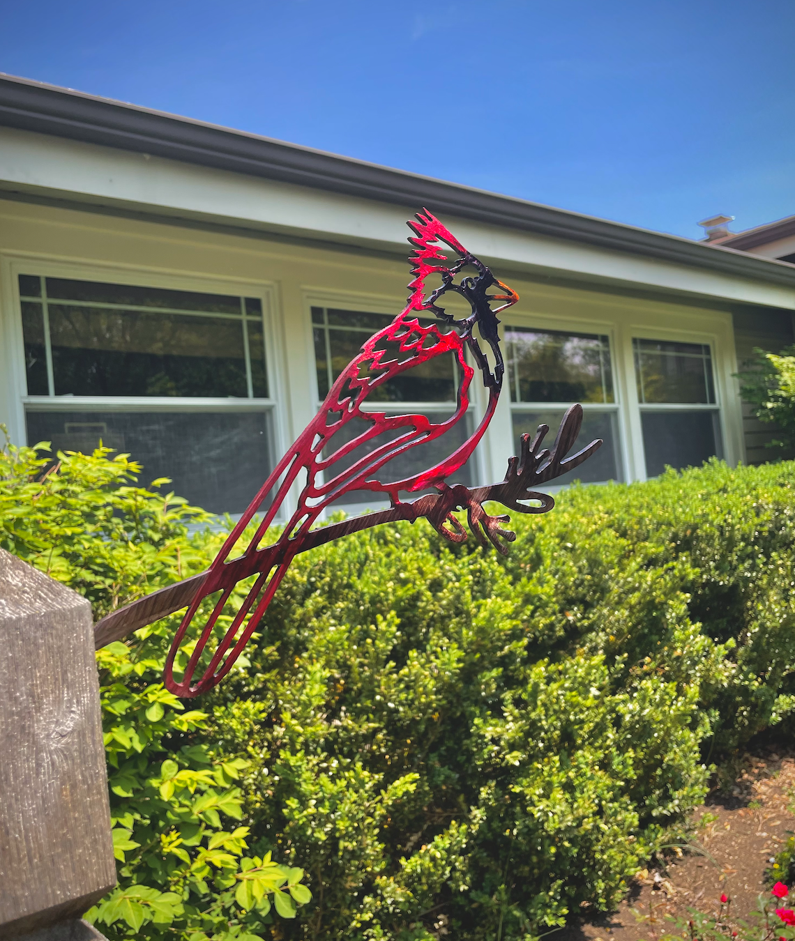 Cardinal