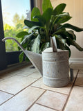 Vintage Watering Can Flower Luminary