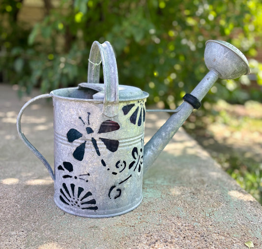 Antique Watering Can -  Dragonfly and Butterfly Design