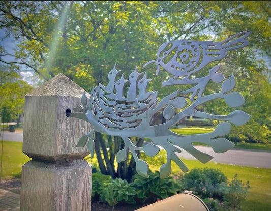 Birds in a Nest