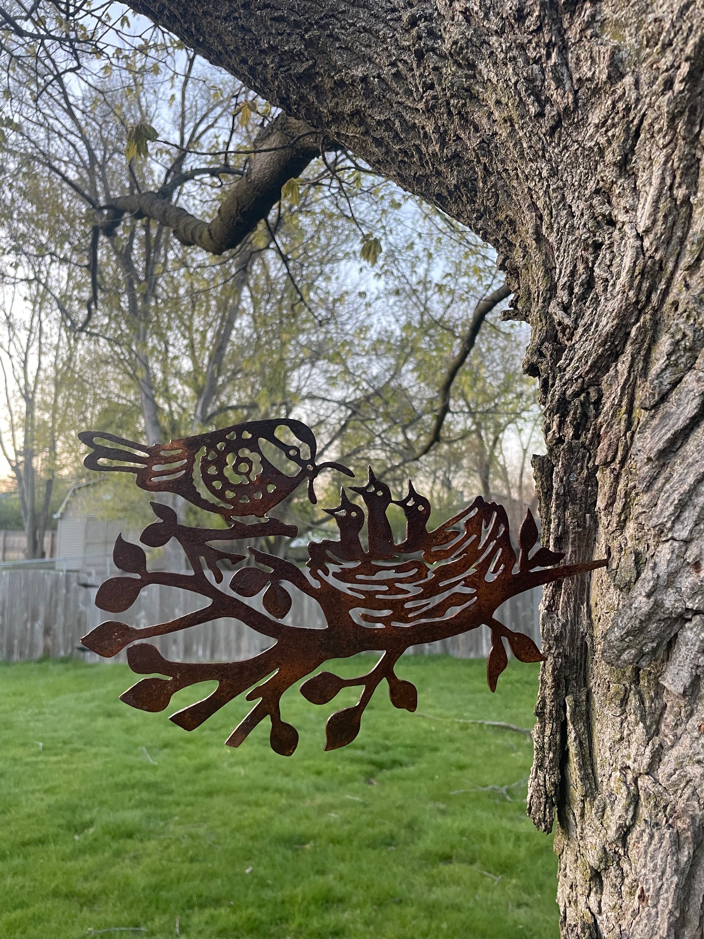 Birds in a Nest