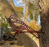 Cardinal