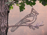 Cardinal